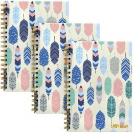 Spirálfüzet, B5, vonalas, 80 lap, FSC, PUKKA PAD "Carpe Diem", toll minta